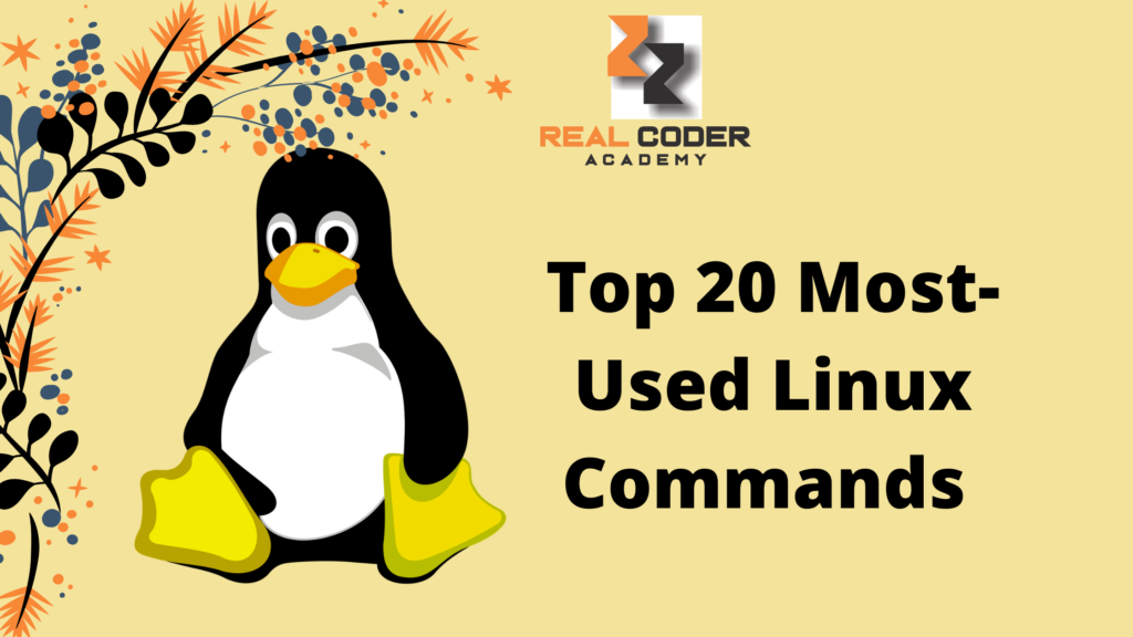 Top 20 Most-Used Linux Commands That Any Developer Should Know - Tech ...