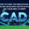 How to Pass the ServiceNow Application Developer Certification (CAD) on Your First Attempt in